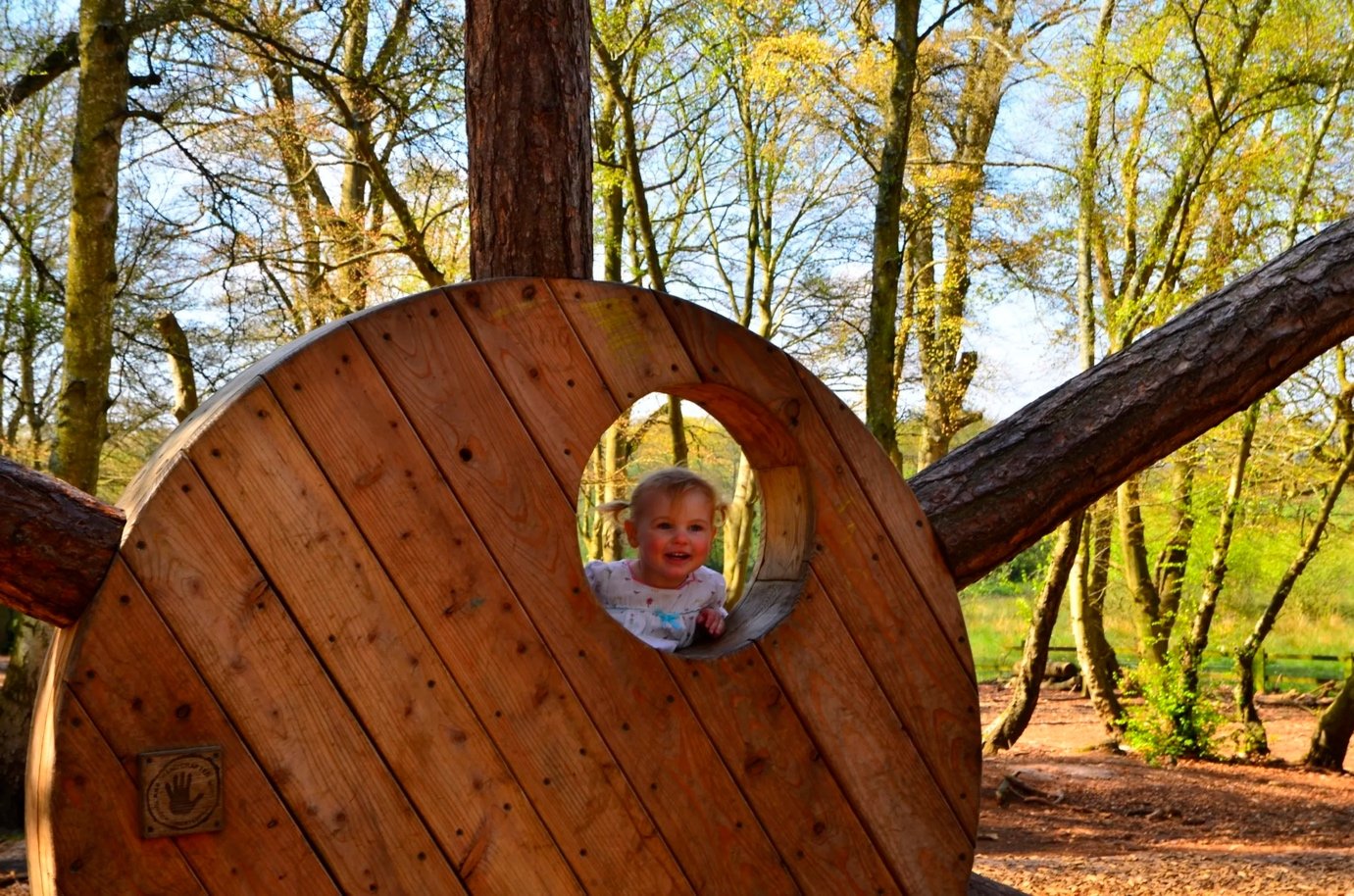 Upton Country Park