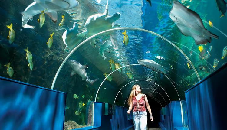 Bournemouth Oceanarium