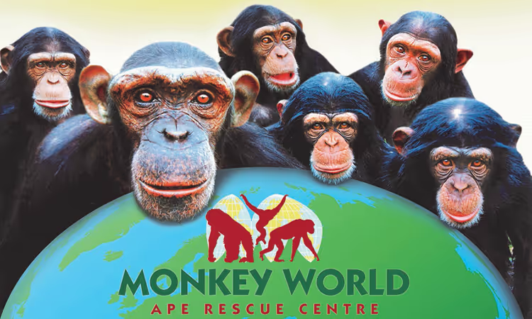 Monkey World